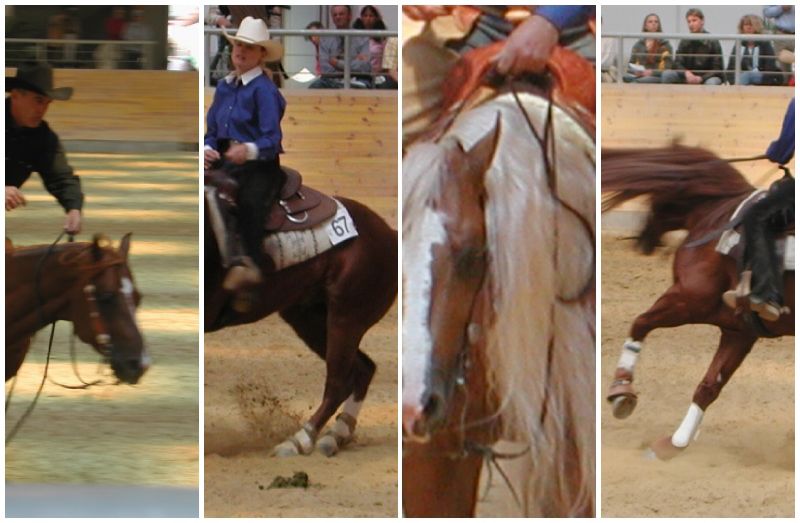reining.jpg, 67 kB